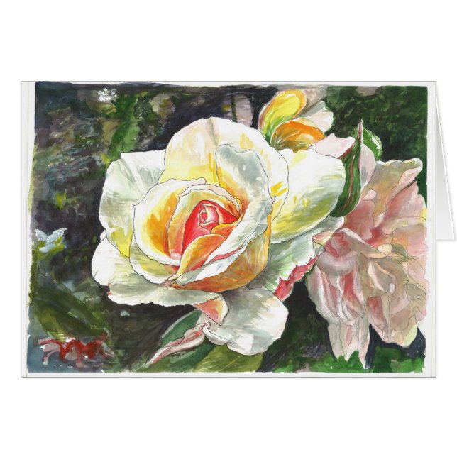 バラのクローズアップ (正面横)