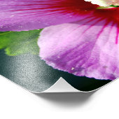 バラのシャロン写真プリント フォトプリント            (角)