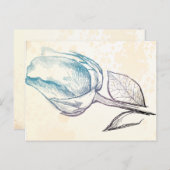 バラのスケッチ ポストカード (正面/裏面)