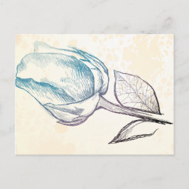 バラのスケッチ ポストカード