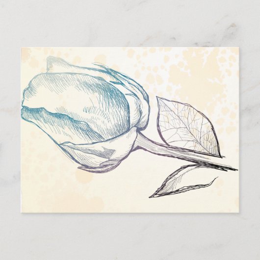 バラのスケッチ ポストカード (正面)