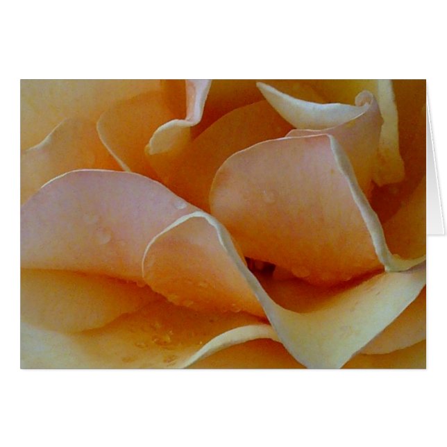 バラのハート (正面横)