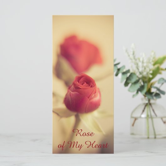 バラのハート (スタンド正面)