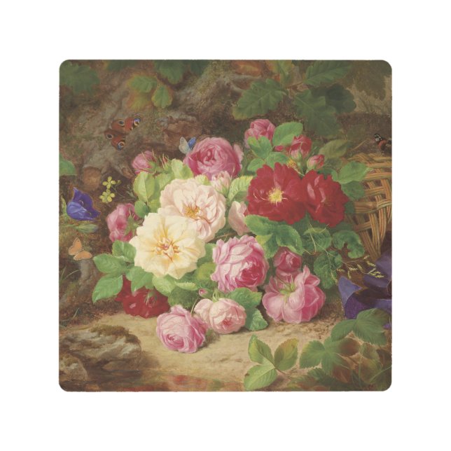 バラのピースが蝶と森の床で メタルプリント (正面)