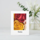 バラのポストカード ポストカード (スタンド正面)