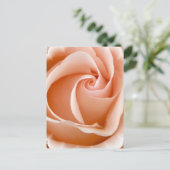 バラの写真のポストカード ポストカード (スタンド正面)