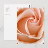 バラの写真のポストカード ポストカード (正面/裏面)