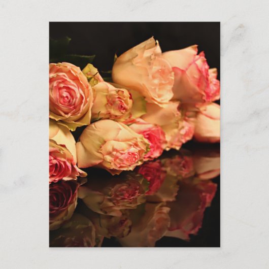 バラの反射 ポストカード (正面)
