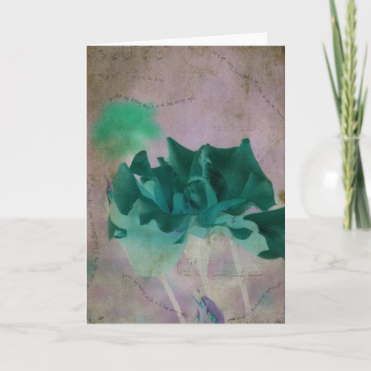 バラの夏のすべての行事 カード (正面)