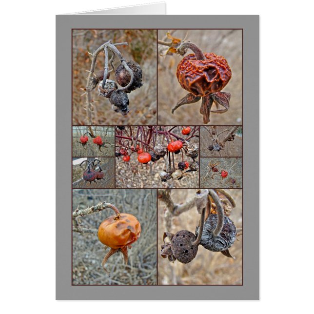 バラの実のコラージュ (正面)