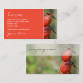 バラの実の名刺 名刺 (正面/裏面)