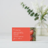 バラの実の名刺 名刺 (スタンド正面)