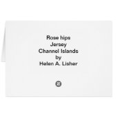 バラの実、ジャージーカード (裏面横)