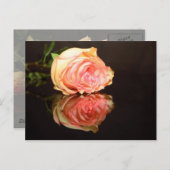 バラの感想 ポストカード (正面/裏面)