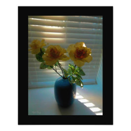 バラの日光 –  フォトプリント           