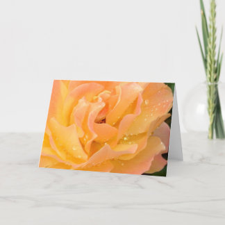 バラの空白のなカードの雨滴 カード