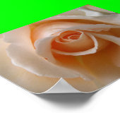 バラの花のクローズアップ ポスター (角)