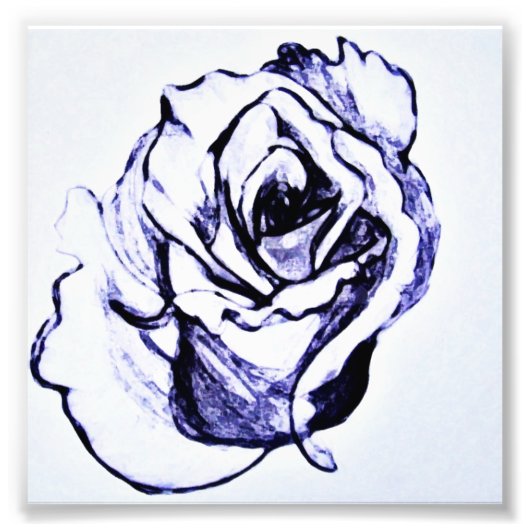 バラの花の手描きスケッチ フォトプリント            (正面)