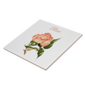 バラの花の桃とピンクの植物色 タイル (側面)