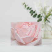 バラの花びらの郵便はがき ポストカード (スタンド正面)