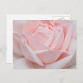 バラの花びらの郵便はがき ポストカード (正面/裏面)