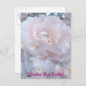 バラの花びら 案内ポストカード (正面/裏面)