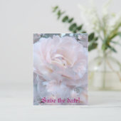 バラの花びら 案内ポストカード (スタンド正面)