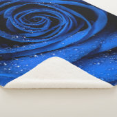 バラの花びら 3 シェルパブランケット (3/4)