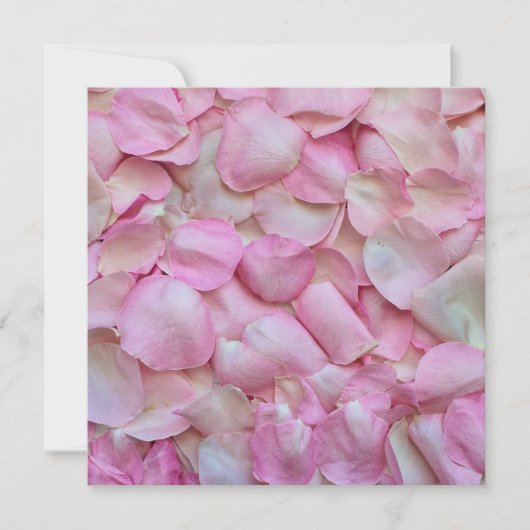 バラの花弁 カード (正面)