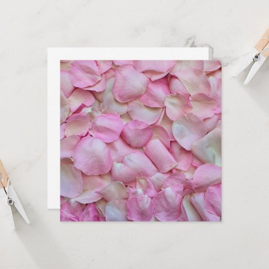バラの花弁（ピンク） カード (正面/裏面インサイチュ)