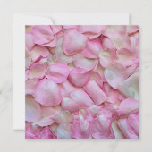 バラの花弁（ピンク） カード (正面)