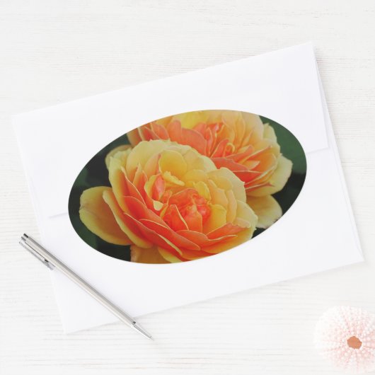 バラの花開花/オレンジ/封筒用シール 楕円形シール (封筒)