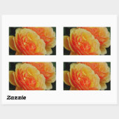 バラの花開花/オレンジ/封筒用シール 長方形シール (シート)