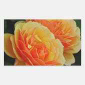 バラの花開花/オレンジ/封筒用シール 長方形シール (正面)