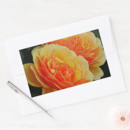 バラの花開花/オレンジ/封筒用シール 長方形シール