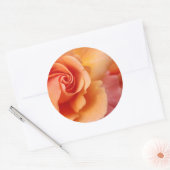 バラの花/アプリコットピーチ/クローズアップ写真 ラウンドシール (封筒)