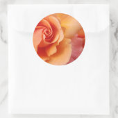 バラの花/アプリコットピーチ/クローズアップ写真 ラウンドシール (バッグ)