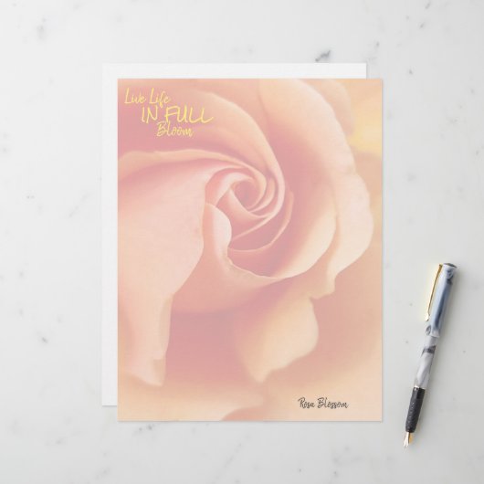 バラの花/アプリコットピーチ/文房具シート レターヘッド (正面/裏面インサイチュ)