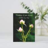 バラの花 ポストカード (スタンド正面)