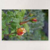 バラの芽が三つ ジグソーパズル (横)