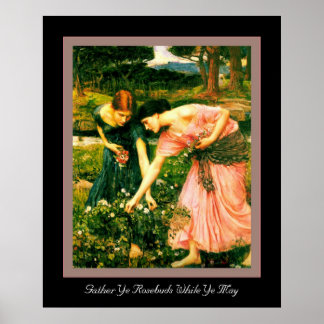 バラの芽を集める ポスター