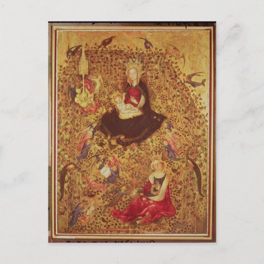 バラの茂みの中のマドンナ ポストカード (正面)