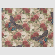 バラの赤と白切り離し