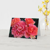 バラの集まり カード (黄色い花)