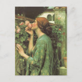 バラの香り ポストカード (正面)