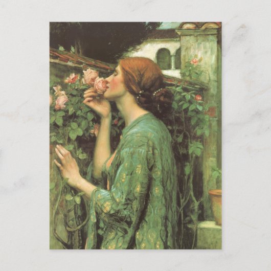 バラの香り ポストカード (正面)