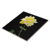 バラの黄色い花 タイル (側面)