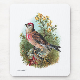 バラのLinnet マウスパッド