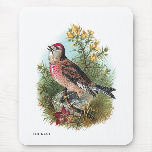 バラのLinnet マウスパッド (正面)