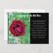 バラはがきの言語 ポストカード (正面/裏面)